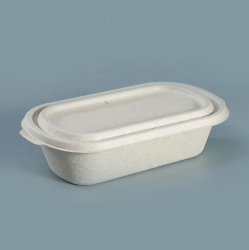 Takeaway Bagasse Sugarcane Pulp Food Container 1000ml