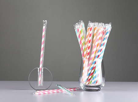 Eco Disposable Stripe Individually Wrapped Paper Straws