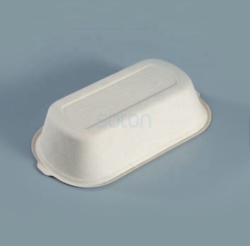 Compostable sugarcane Single Compartment  clamshell