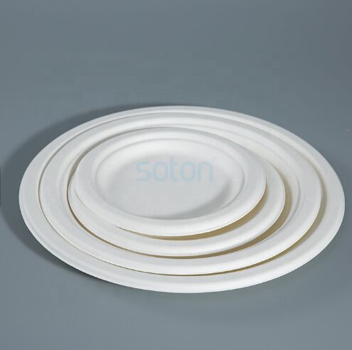 Disposable Sugarcane Pulp Plate