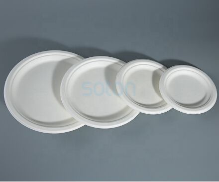 Disposable Sugarcane Pulp Plate