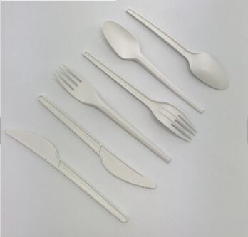 Cpla spoon tableware