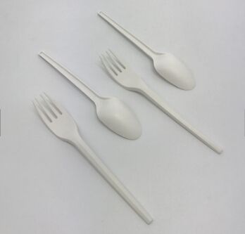Cpla spoon tableware