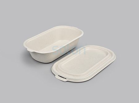 Export Sugarcane Bagasse Meal with Lid