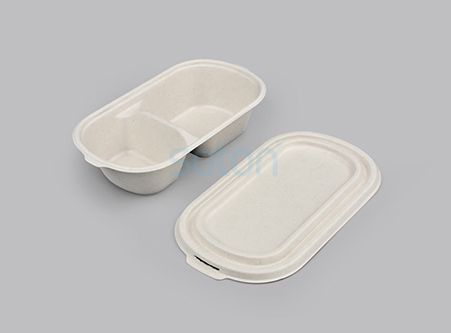 High Quality Sugarcane Lunch Box Manufacture