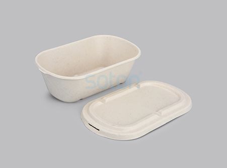 Wholesale Disposable Sugarcane Tableware Box with Lid