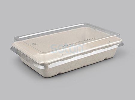 Eco Friendly Square Sugarcane Lunch Box with PLA Lid
