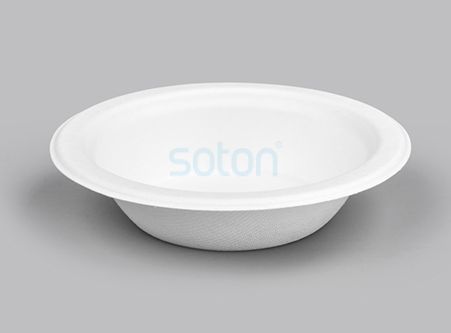 China Disposable Biodegradable Sugarcane Bagasse Bowl