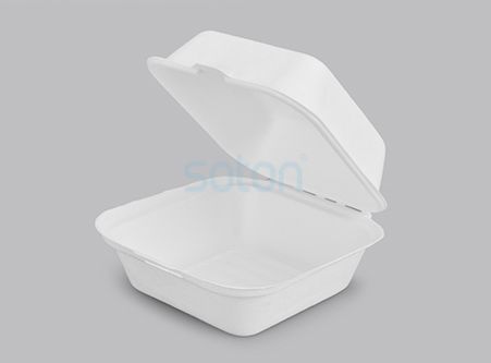 Custom Eco-friendly Disposable Sugarcane Box with Hamburger