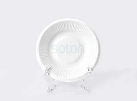 Disposable Sugarcane Plate Round Eco Friendly Supply