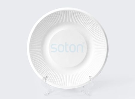 Eco Friendly Sugarcane Tableware Plates China