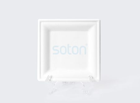 High Quality Sugarcane Dinner Plate Square