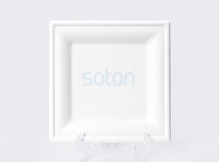 Square Sugarcane Paper Plates Supplier China
