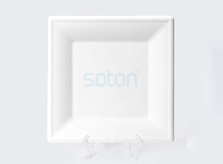 Biodegradable Plates Sugarcane Square Manufacturer China