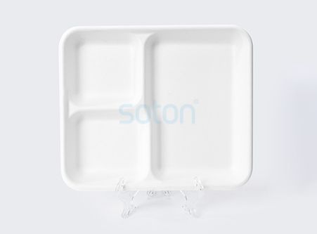 Wholesale Sugarcane Bagasse Plate Square Company