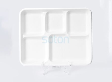 Sugarcane Plate Hot Selling 2020 in China