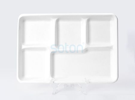 Eco-friendly Biodegradable Sugarcane Plates Supplier