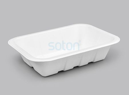 Disposable Sugarcane Containers Plates Customer