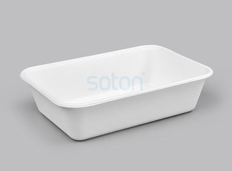Compeartment Biodegradable Plate Supplier China