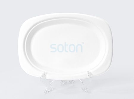 High Quality Biodegradable Plates Hot Selling 2020