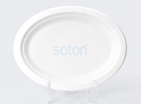 Disposable Eco-friendly Sugarcane Oval Plate Exporter