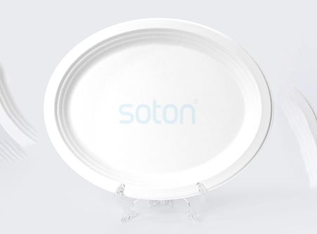 Custom White Sugarcane Plate for Restaurant