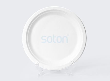 Sugarcane Oval Plate with Food Supplier China