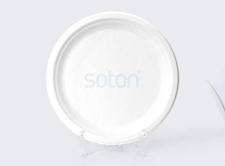 White Round Sugarcane Plates  Manufacture