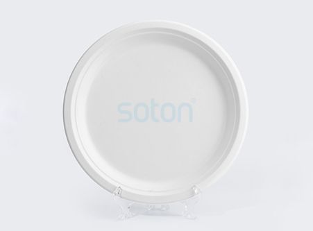 Sugarcane Containers Round Plate Cheap Price