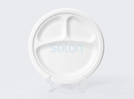 China Disposable Sugarcane Bagasse Plates Round Dish