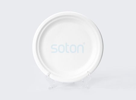 Manufacture Biodegradable Sugarcane Plates