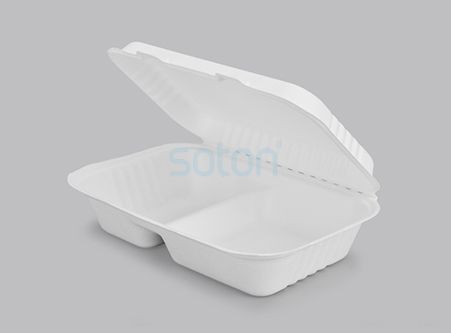 Wholesale Disposable Sugarcane Box with Lid