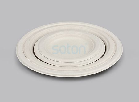 Manufacture Wheat Straw Plate for Restaurant