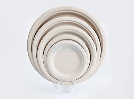 High Quality Wheat Straw Plates for Sale