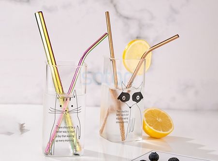 Sale Eco Reusable Stainless Steel Straws