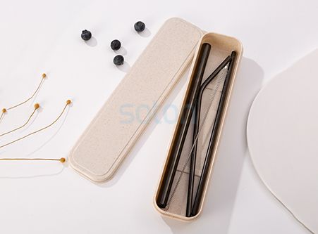 Cool Drinking Straws Stainless Steel Set for Sale