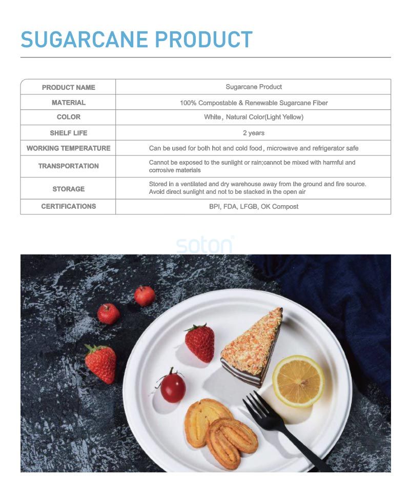 Export Sugarcane Bagasse Meal with Lid