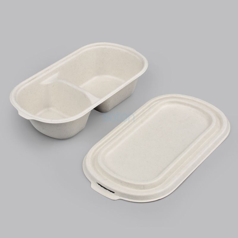 High Quality Sugarcane Lunch Box Manufacture