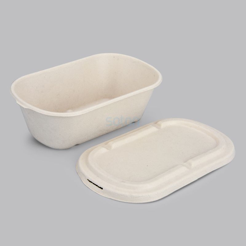 Wholesale Disposable Sugarcane Tableware Box with Lid