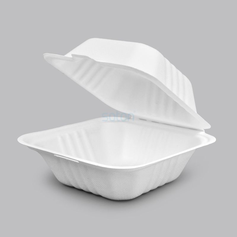 Sale Sugarcane Bagasse Hamburger with Lid Company