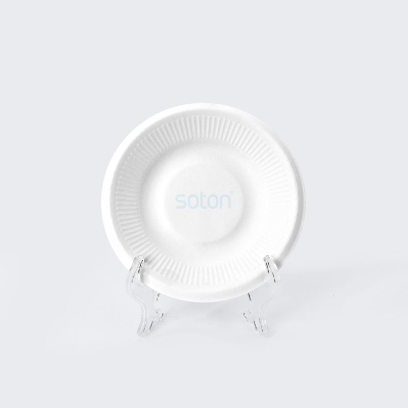 Disposable Sugarcane Plate Round Eco Friendly Supply