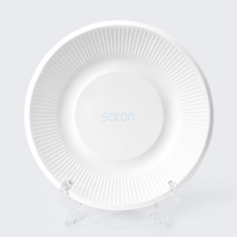 Eco Friendly Sugarcane Tableware Plates China