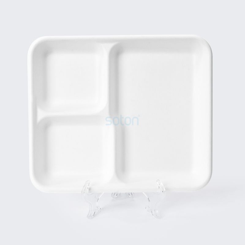 Wholesale Sugarcane Bagasse Plate Square Company