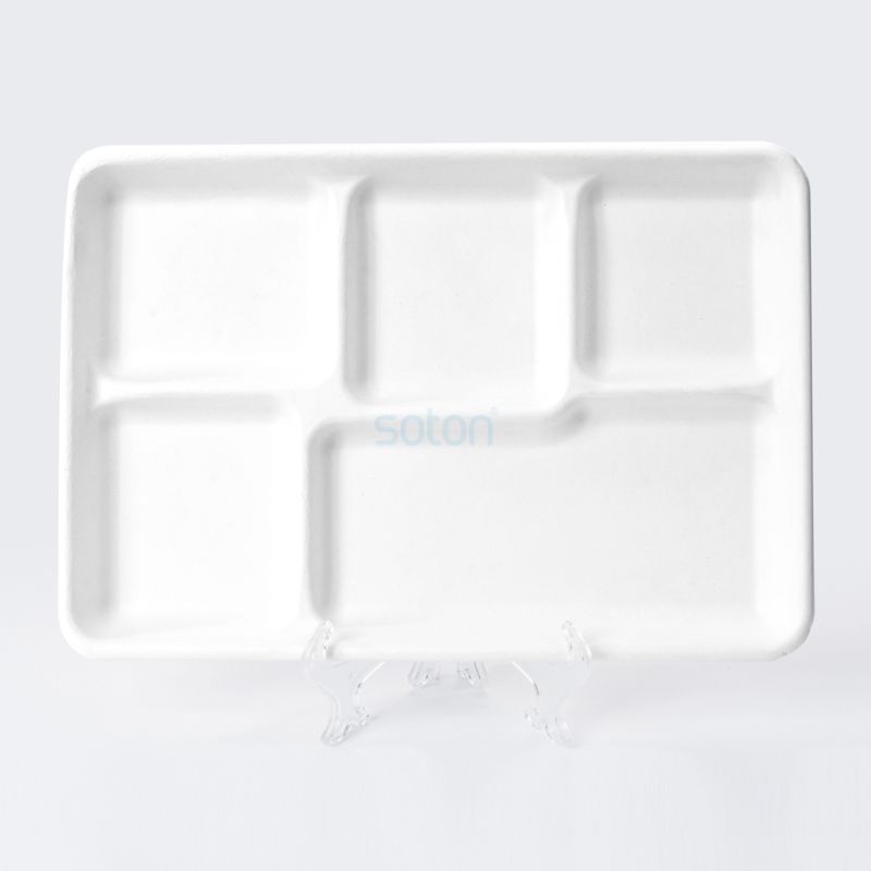 Eco-friendly Biodegradable Sugarcane Plates Supplier