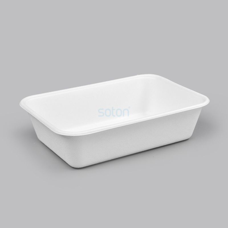 Compeartment Biodegradable Plate Supplier China