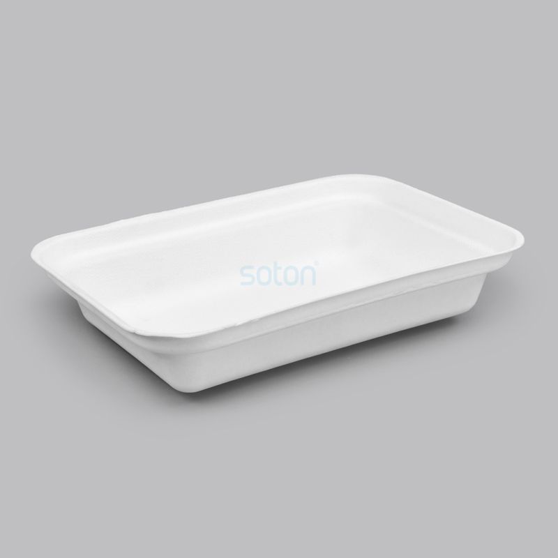 Hot Selling Sugarcane Containers Square Plate in China