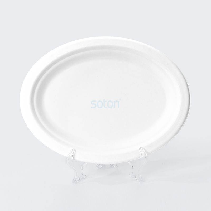 Disposable Eco-friendly Sugarcane Plate Exporter