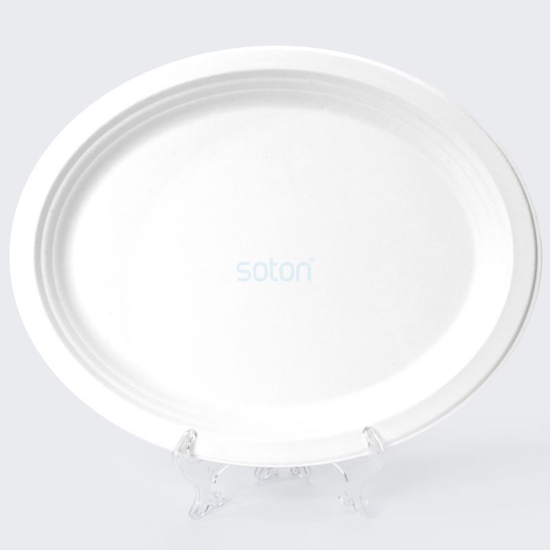 Custom White Sugarcane Plate for Restaurant