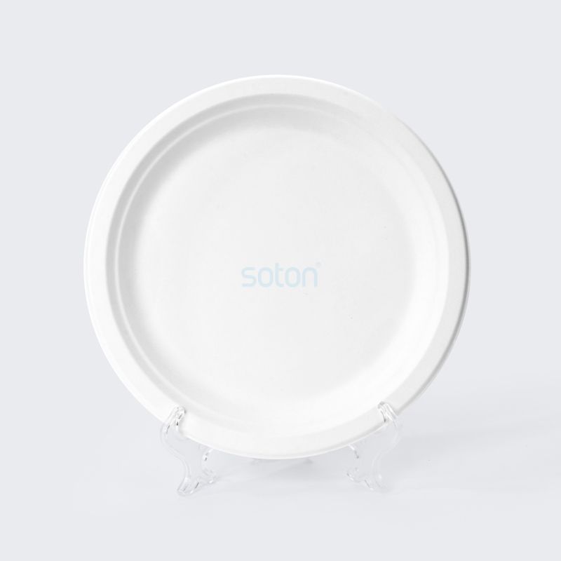 Sugarcane Oval Plate with Food Supplier China