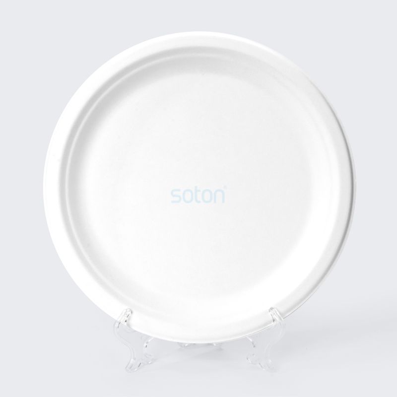 White Round Sugarcane Plates  Manufacture